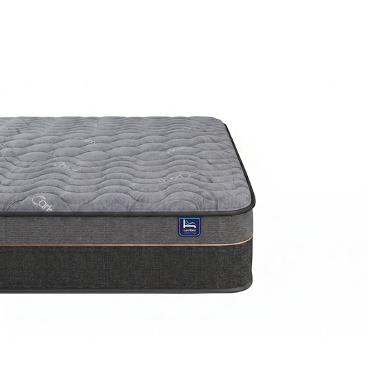 Levitex 25 cm Hybrid Pocket Spring Mattress Firm with 4cm Egg Crate Foam for Deep Sleep Bamboo Charcoal Fabric Queen